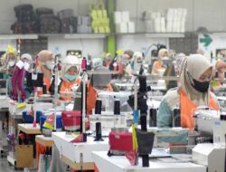 Hampir 53 Ribu Orang Tenaga Kerja Kena PHK, Terbanyak dari Sektor Manufaktur