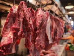 Indonesia Impor Daging Rp. 5,87 Triliun, India dan Australia Jadi Negara Pemasok Utama
