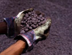 Heboh! Smelter di Indonesia Masih Impor Bijih Nikel, Ini Tanggapan ESDM
