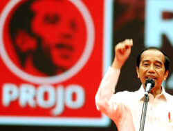 Projo Ingin Terjun ke Percaturan Politik Nasional, Pengaruh Jokowi Dipertaruhkan