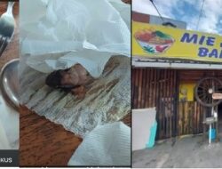 Viral! Ada Kepala Tikus di Mangkuk Pelanggan Mie Ayam Bakso Mas Bejo