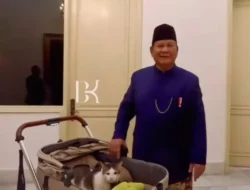 Bobby Si Kucing Kertanegara, Diboyong Prabowo dan Kini Tinggal di Istana Negara