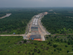 Prabowo Bakal Bangun Tol Sepanjang 2.300 Km, Sumatera Jadi Prioritas
