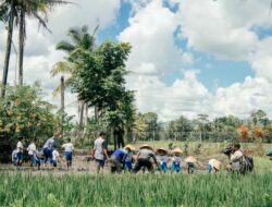 Berwisata Keluarga ke Milkindo Green Farm Kepanjen, Malang