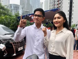 Emiten Udang Kaesang Pangarep (PMMP) Rugi Rp. 240 Miliar di Kuartal III Tahun 2024