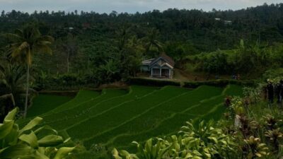 Jelajah Rempah di Lereng Gunung Kawi, Ekoturisme Keren Dari Desa Sumberurip, Blitar