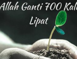 Rahasia Sedekah: Ganjarannya Hingga 700 Kali Lipat