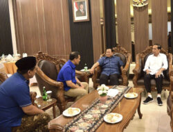 Deddy Yevri Sitorus Kecewa Prabowo Endorse Ahmad Luthfi: Presiden Turun Kelas!