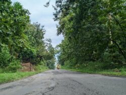 Mitos Gunung Pegat di Ponorogo: Pengantin Bisa Cerai, Pacar Bisa Putus
