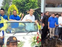 Ambruknya Kandang Banteng di Pilgub Jateng 2024: Rapuhnya PDIP dan Ketokohan Jokowi