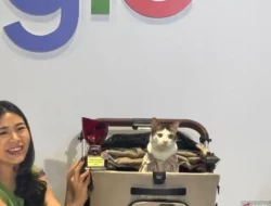 Kucing Prabowo, Bobby Kertanegara Jadi Nama Paling Dicari di Google 2024!
