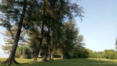 Pantai Golf, Keindahan Alam Memesona di Belitung Timur