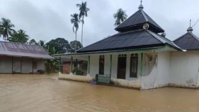 Diguyur Hujan Deras, Wilayah IKN Diterjang Banjir