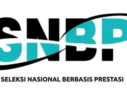 Calon Mahasiswa Wajib Tahu! Ini Perbedaan SNPMB, SNBP dan SNBT