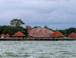 Wisata ke Kura-kura Ocean Park di Pantai Kartini, Jepara