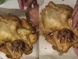 Ciri Daging Ayam Dari Bangkai, Bukan Hanya Tak Sehat Tapi Juga Haram!