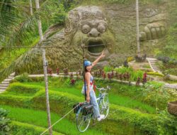 Serunya Berayun di Atas Terasering Menawan di Alas Harum Bali