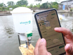 Founder Northstar Group, Patrick Walujo Nilai StartUp eFishery Penipuan Sistematis