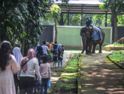 Bus Asal Jakarta ke Bandung Zoo: Digetok Parkir Rp. 150 Ribu dan Dipaksa Beli Masker