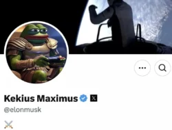 Akun Elon Musk di X Ganti Nama Jadi Kekius Maximus, Ternyata Ini Artinya?