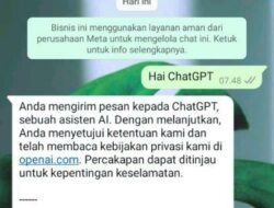 Bukan Meta AI, Ini Cara Mudah Gunakan ChatGPT di WhatsApp