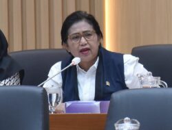 Bukan Zakat, Irma Suryani Usulkan Cukai Rokok dan CSR BUMN Danai Makan Bergizi Gratis