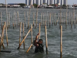 Pagar Laut Tangerang Punya HGB, DPR Tuntut BPN Tanggung Jawab