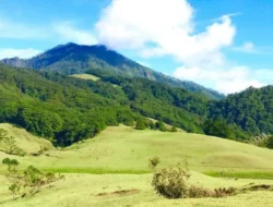 Terlelap Dalam Senyapnya Taman Nasional Mutis Timau Nirwana di Pulau Timor