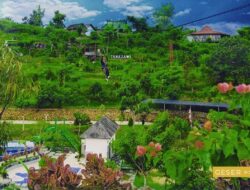 Wisata Keluarga Sambil Petik Durian Montong di Tanazawi Edupark Tuban