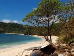 Pantai Ngalur, Destinasi Wisata Alam Yang Indah di Tulungagung