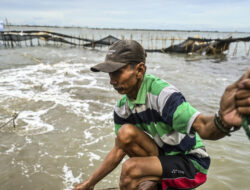 Pagar Laut Tangerang Merugikan 3.888 Nelayan Hingga Rp. 24 Miliar!