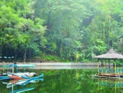 Pesona Mistis di Balik Keindahan Desa Rowo Bayu, Tempat Syuting KKN Desa Penari