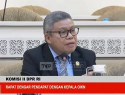 Taufan Pawe Curiga Pembangunan IKN Hanya Ambisi Jokowi Bukan Misi Prabowo