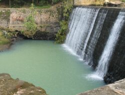 Berendam dan Berenang Dikelilingi Hamparan Sawah di Green Kayen, Sleman