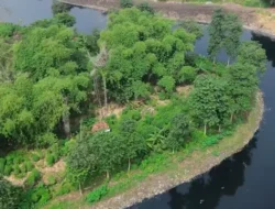 Bermodal Rp. 106 Juta, Pandawara Berhasil Keruk 351,4 Ton Sampah Dari Sungai Citarum Dalam Seminggu