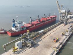Freeport Belum Bisa Ekspor, Negara Hilang Pendapatan Hingga Rp. 65 Triliun