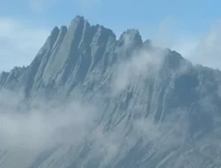 Puncak Cartensz: Titik Tertinggi di Indonesia, Jadi Bagian Dari Seven Summits