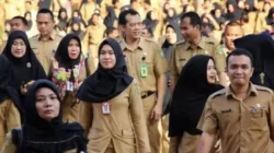 Pengangkatan CPNS Ditunda 7 Bulan Gara-gara Coretax Error, Pajak Seret dan BPI Danantara