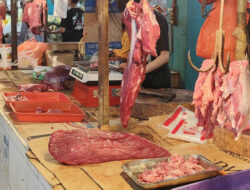 Jelang Lebaran, Harga Daging Sapi Sudah Tembus Rp. 170.000 per Kg
