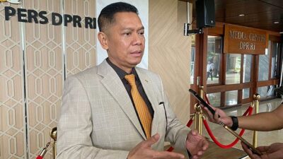 Adies Kadir Soal Kepala Babi dan Bangkai Tikus ke Tempo: Jangan Buruk Sangka ke Pemerintah!
