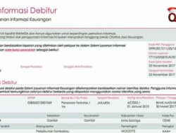 Cara Membersihkan Nama Kita Dari SLIK OJK Atau BI Checking