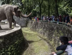 5 Kebun Binatang Populer Untuk Destinasi Wisata keluarga Saat Libur Lebaran