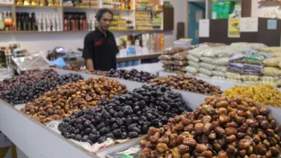 Ini 4 Cara Membedakan Kurma Ajwa Asli dengan Yang Palsu