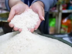 Usai Takaran MinyaKita Dikurangi, Kini Viral Beras Premium 5 Kg Disunat Jadi 4 Kg
