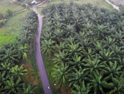 Menteri ATR/ BPN Nusron Wahid Tegaskan Tak Ada Pemutihan Jutaan Hektare Sawit Ilegal di Riau
