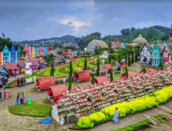 Menikmati Kebun Bunga Cantik Bak di Eropa Saat Wisata ke Santerra de Laponte, Malang