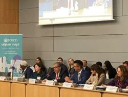 Fahri Hamzah Paparkan Desain Kebijakan Perumahan Indonesia pada Sidang OECD 2025 di Paris