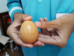 Viral! Telur Berlafaz Allah di Jember, Warga Berbondong-bondong Ingin Menyaksikan