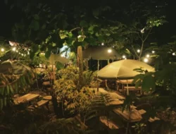 3 Destinasi Wisata di Wonosalam Jombang Yang Cocok Untuk Healing Melepas Penat