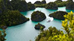 Nikmat! Ini 10 Kuliner Khas Sorong Papua Barat Yang Wajib Dicoba